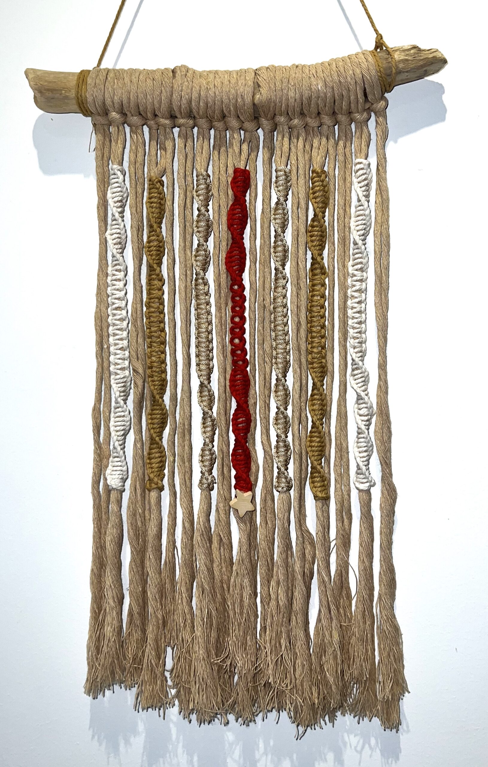 # M-12 - Sable étoilé